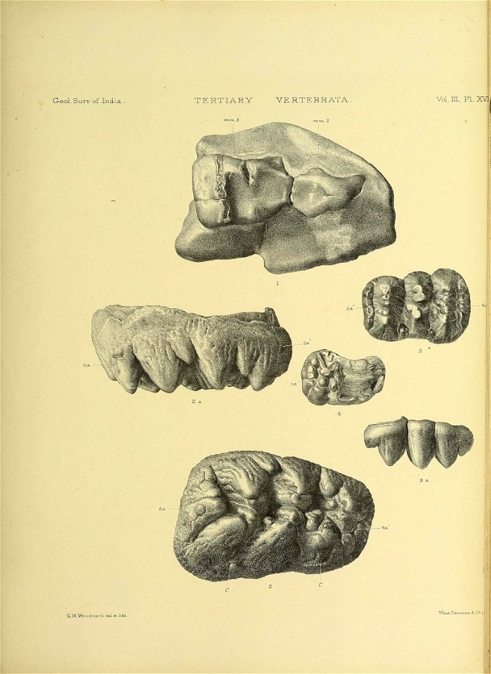 n364_w1150
