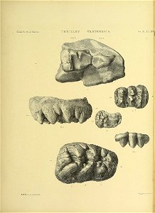 n364_w1150