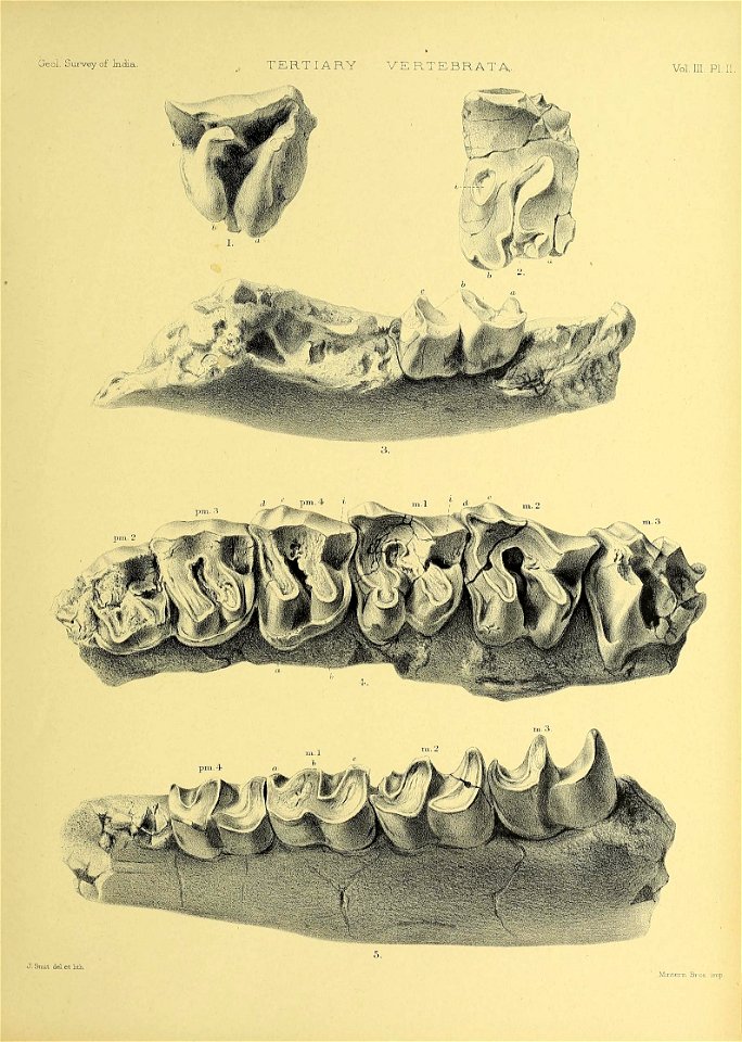 n304_w1150