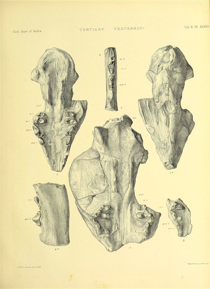 n528_w1150