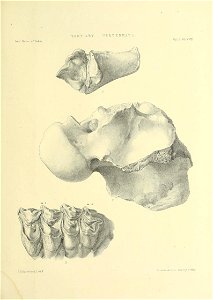 n466_w1150