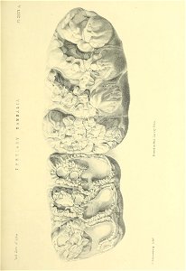 n518_w1150