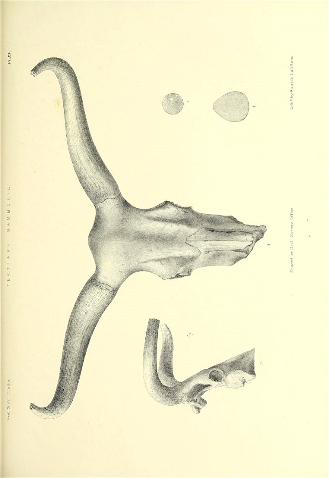 n396_w1150