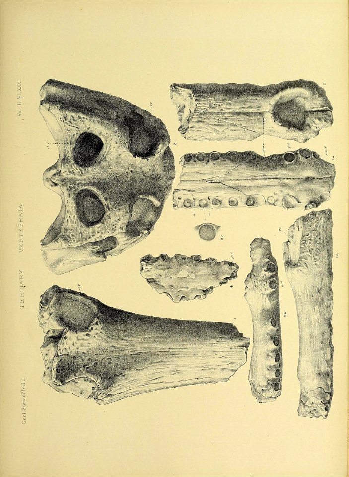 n420_w1150