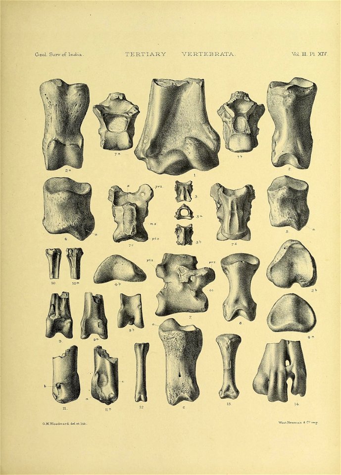 n352_w1150