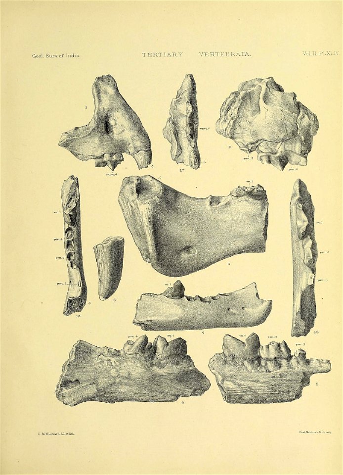 n578_w1150