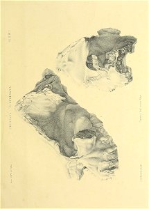 n392_w1150