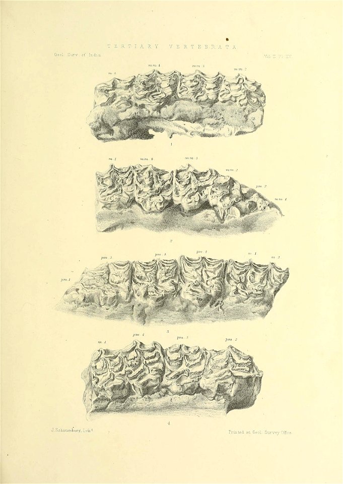 n454_w1150