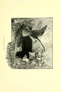 n144_w1150