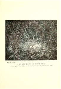 n192_w1150