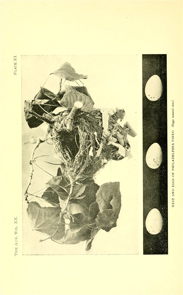 n421_w1150