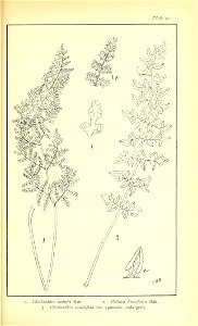 n580_w1150