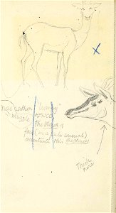 n69_w1150