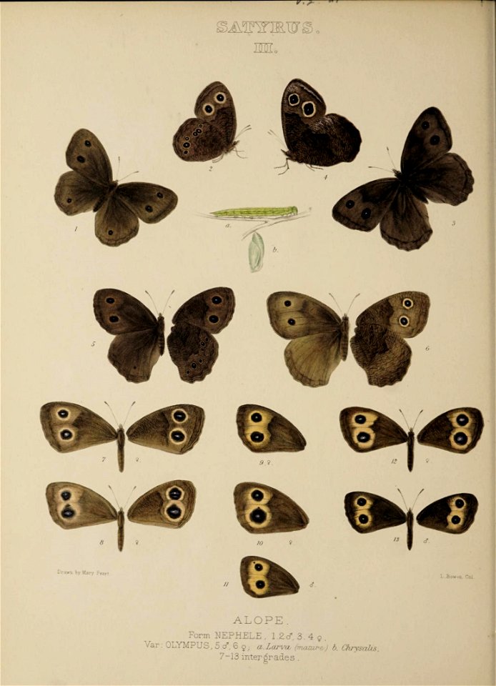 n365_w1150
