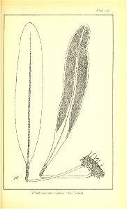 n692_w1150
