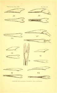 n478_w1150
