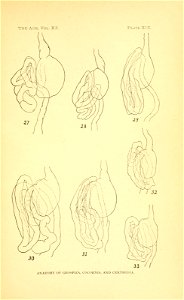 n476_w1150