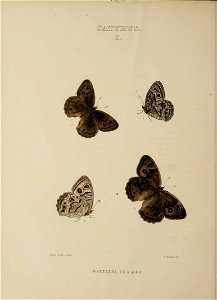n351_w1150
