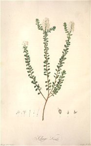 n113_w1150