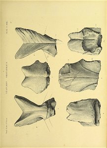 n368_w1150