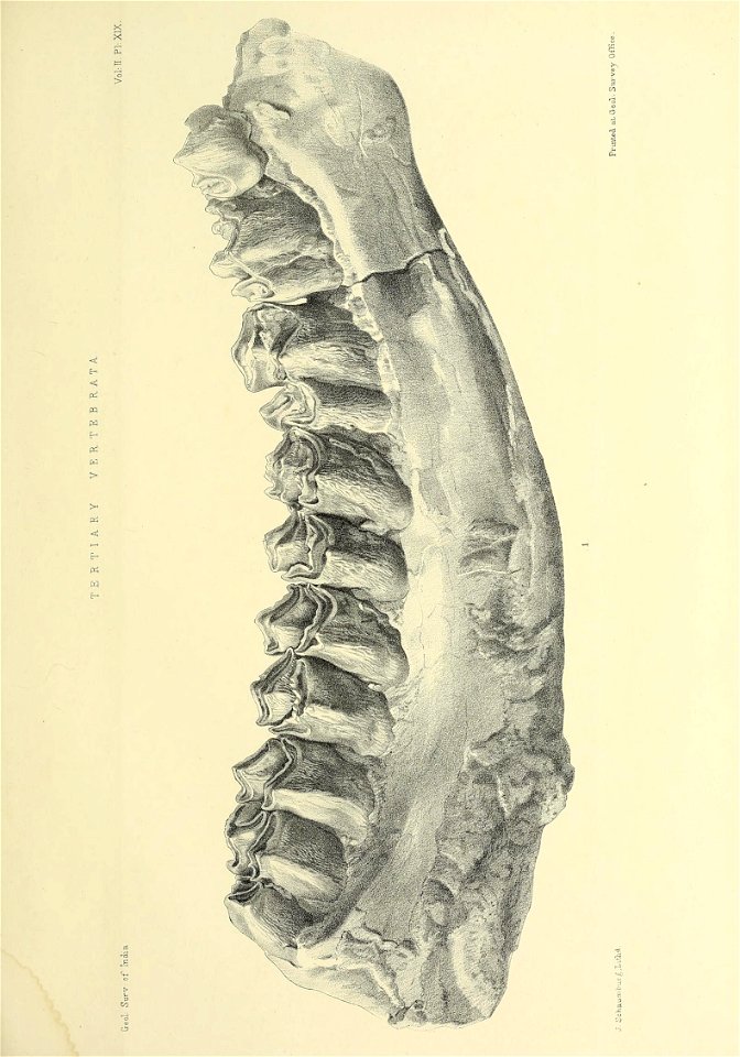 n470_w1150
