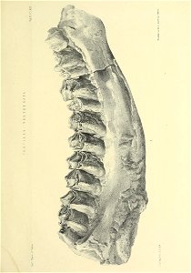 n470_w1150