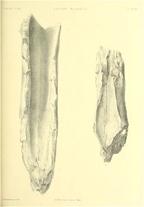 n522_w1150