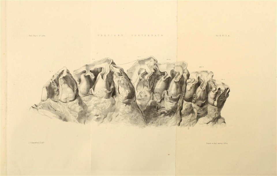 n402_w1150