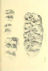 n514_w1150
