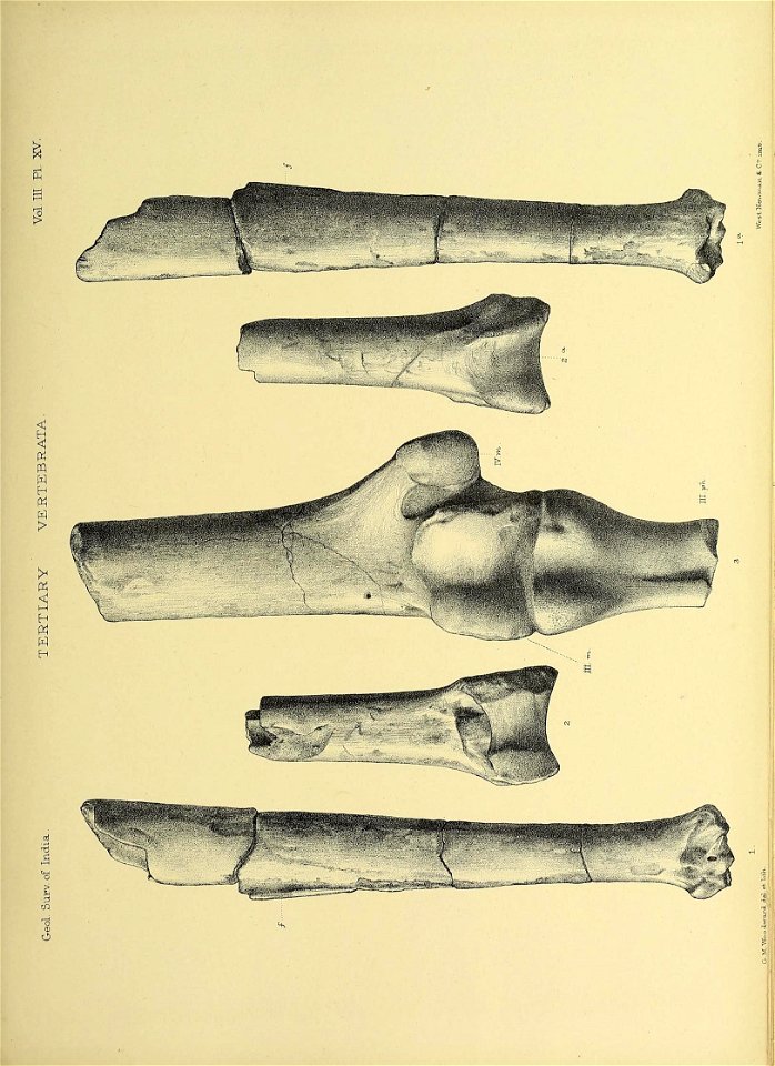 n356_w1150
