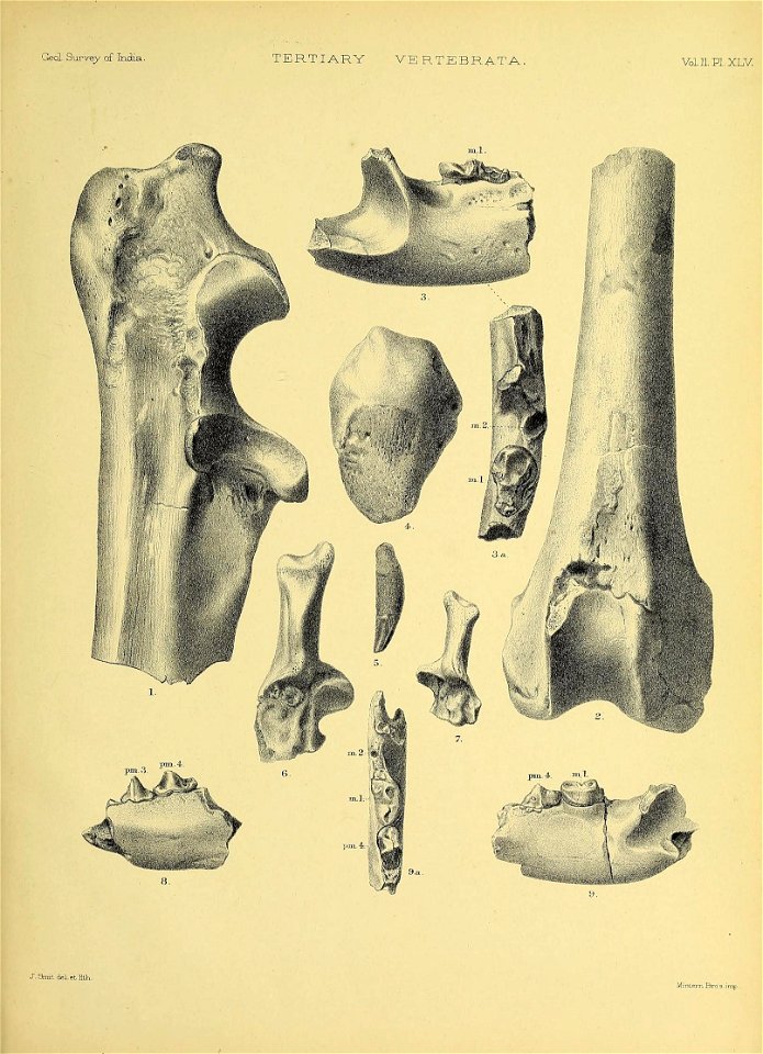 n582_w1150