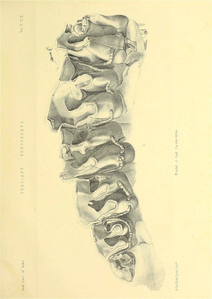 n396_w1150