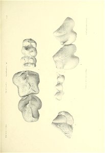 n388_w1150