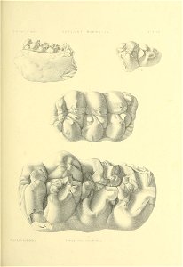 n506_w1150