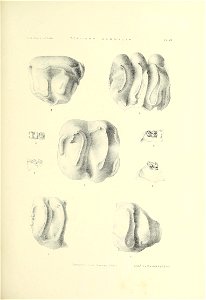 n384_w1150