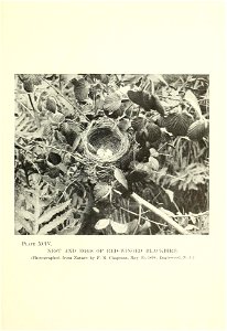 n194_w1150