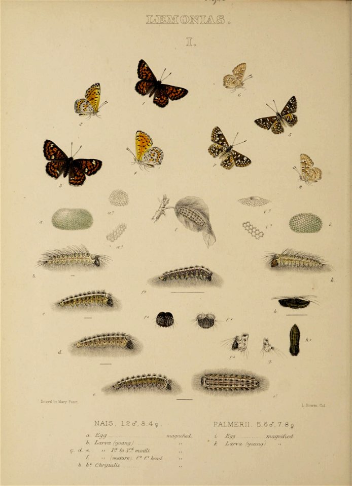 n401_w1150