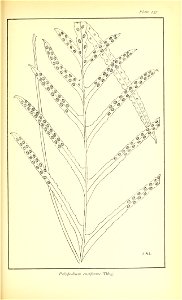 n672_w1150