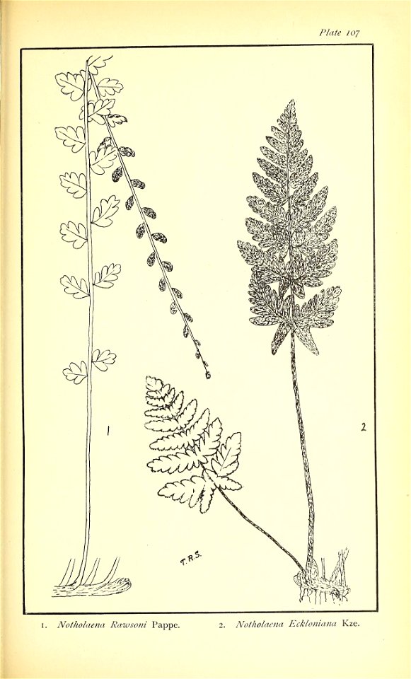 n612_w1150