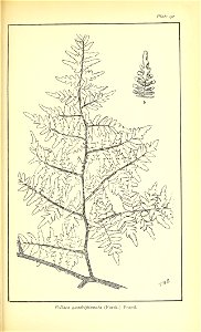 n582_w1150