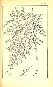 n522_w1150