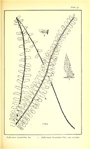 n492_w1150