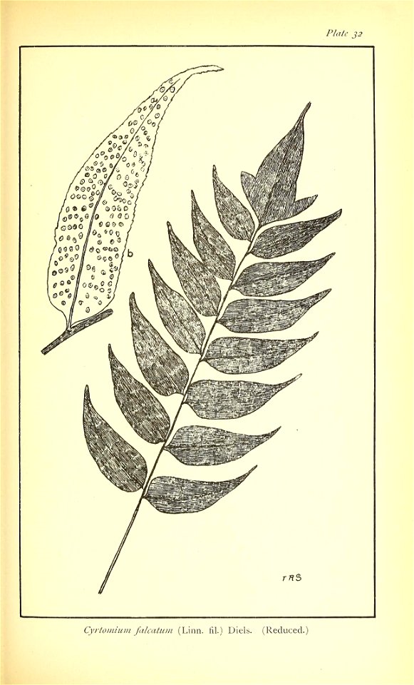 n462_w1150
