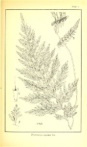 n400_w1150