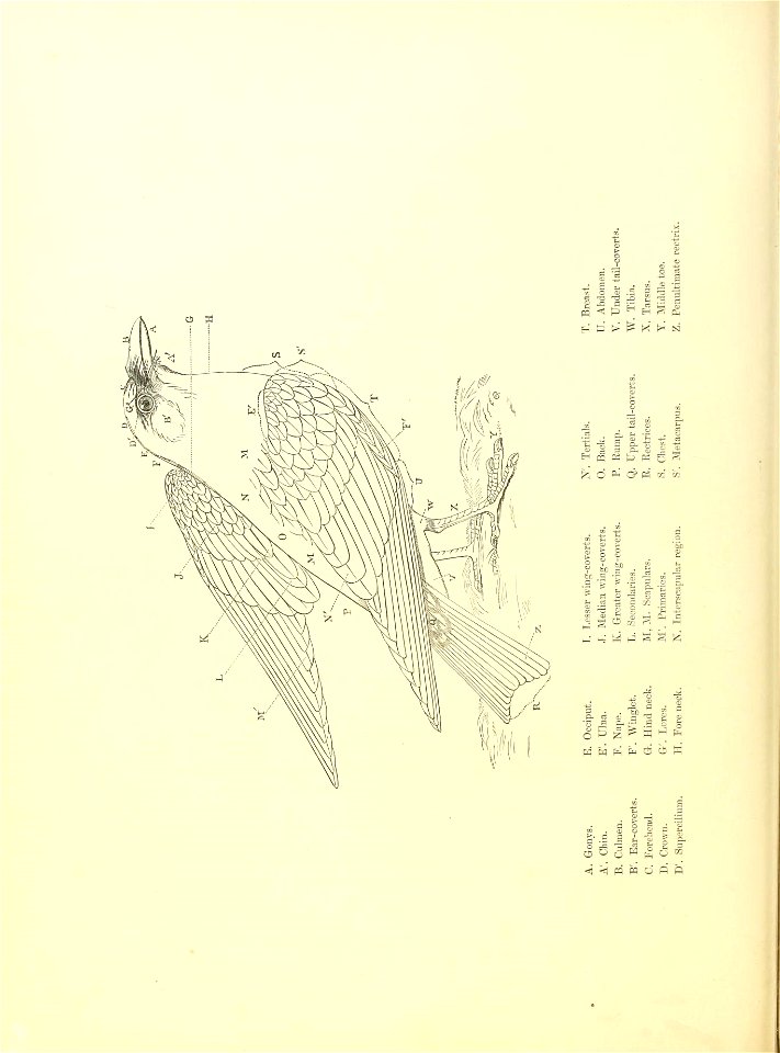 n59_w1150