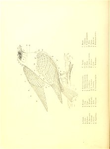n59_w1150