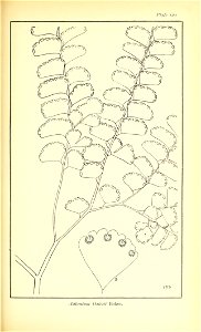 n638_w1150