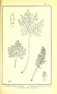 n608_w1150