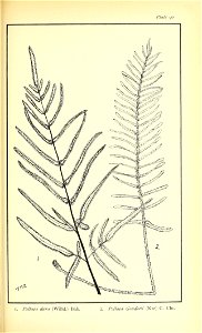 n578_w1150