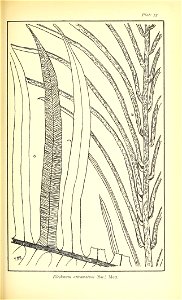 n548_w1150
